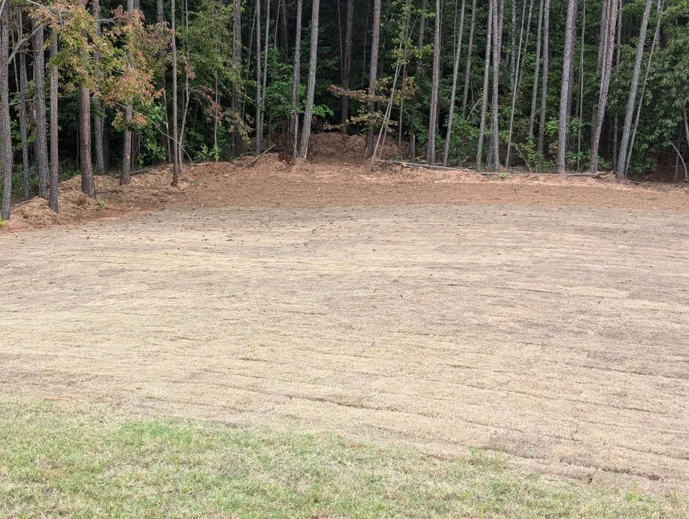 Top-rated residential landscaping near you in Covington, GA by Yellow River Landscaping