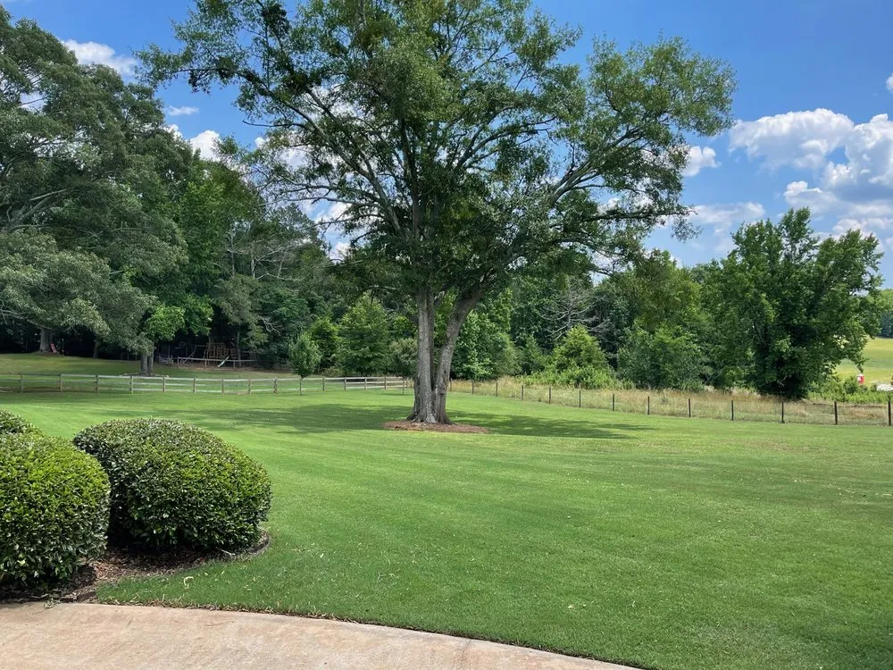 Local lawn care service for homes across Covington, GA - Yellow River Landscaping