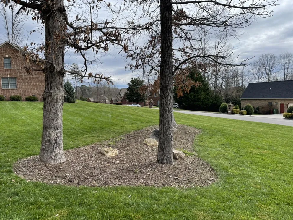 Professional landscaping services in Powell, TN - Yellow Rose Landscaping