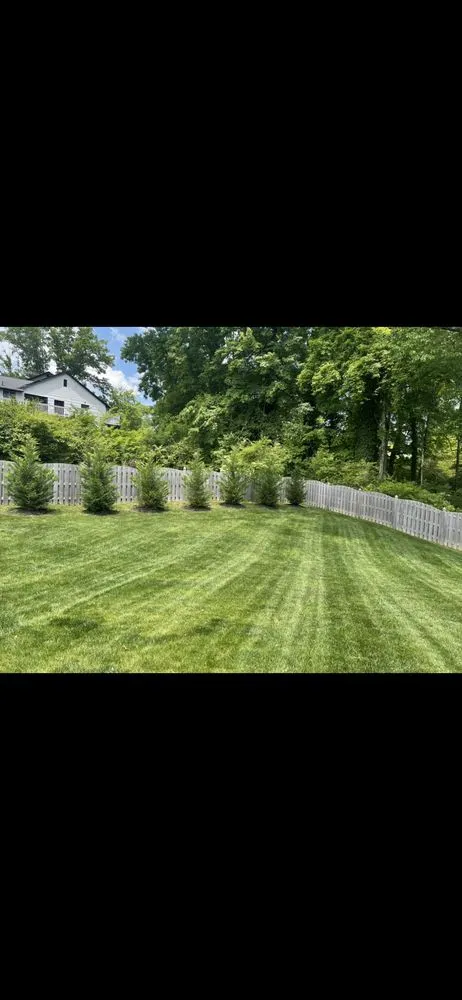 Reliable yard maintenance for outdoor upgrades in Powell, TN by Yellow Rose Landscaping