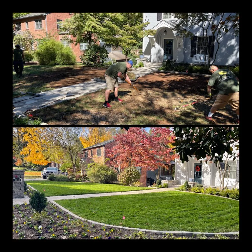 Affordable landscape installation in Powell, TN - Yellow Rose Landscaping