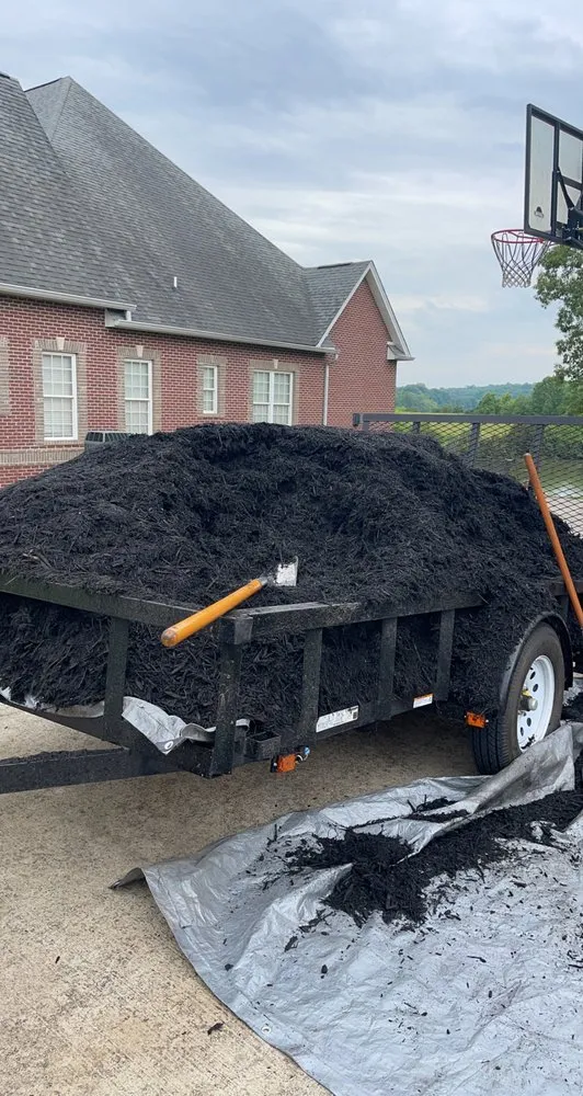 Affordable outdoor landscaping near you in Powell, TN by Yellow Rose Landscaping