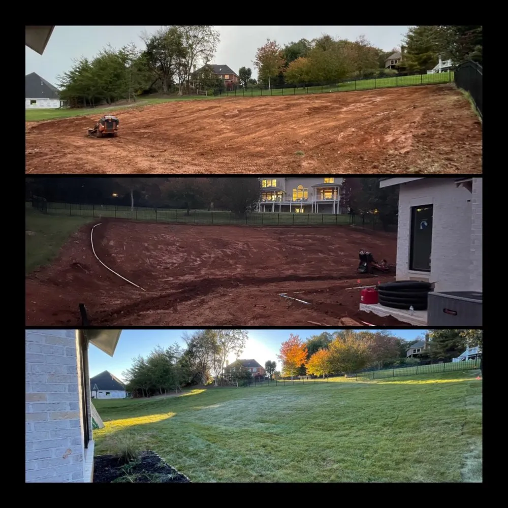 Professional yard maintenance in Powell, TN by Yellow Rose Landscaping