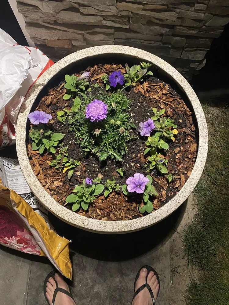 Top-rated garden landscaping in Prosser, WA - Yellow Rose Nursery