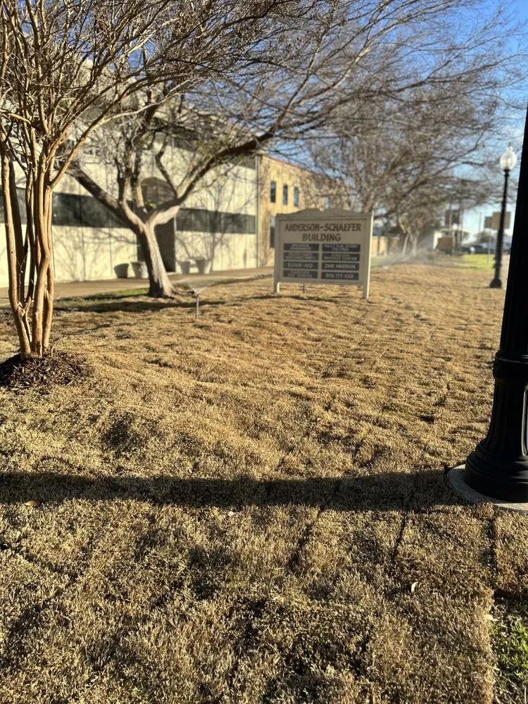 Local landscape installation in Bryan, TX - Yellow Rose Tree & Lawn Service