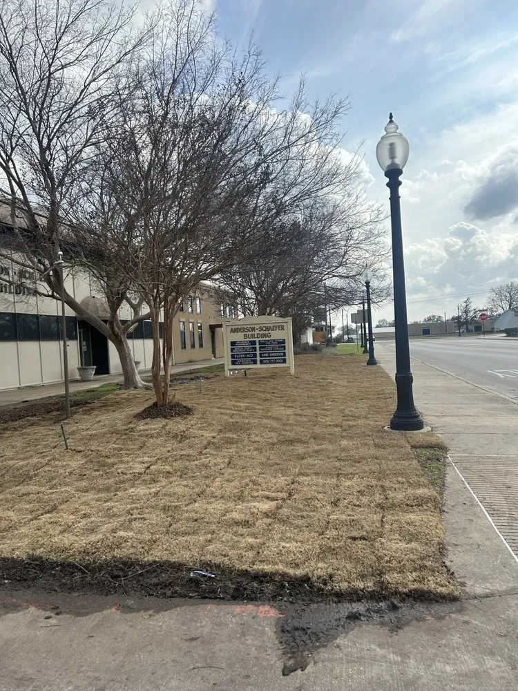 Expert yard cleanup service for beautiful yards in Bryan, TX by Yellow Rose Tree & Lawn Service