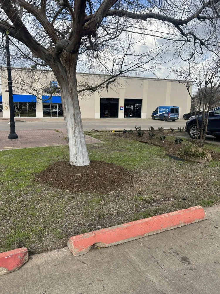 Top-rated lawn care service experts serving Bryan, TX - Yellow Rose Tree & Lawn Service