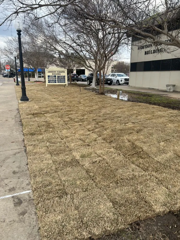 Top-rated garden landscaping in Bryan, TX by Yellow Rose Tree & Lawn Service