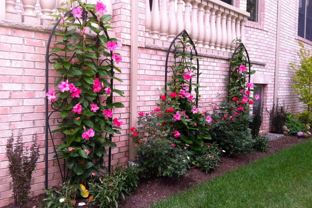 Trusted landscape installation in Fort Lee, NJ - Yellow Wagon Landscaping