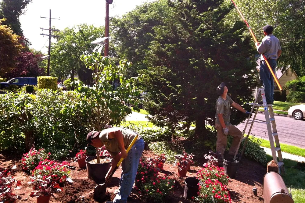 Affordable lawn care service experts serving Fort Lee, NJ - Yellow Wagon Landscaping