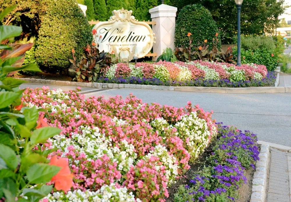 Trusted yard cleanup service in Fort Lee, NJ - Yellow Wagon Landscaping