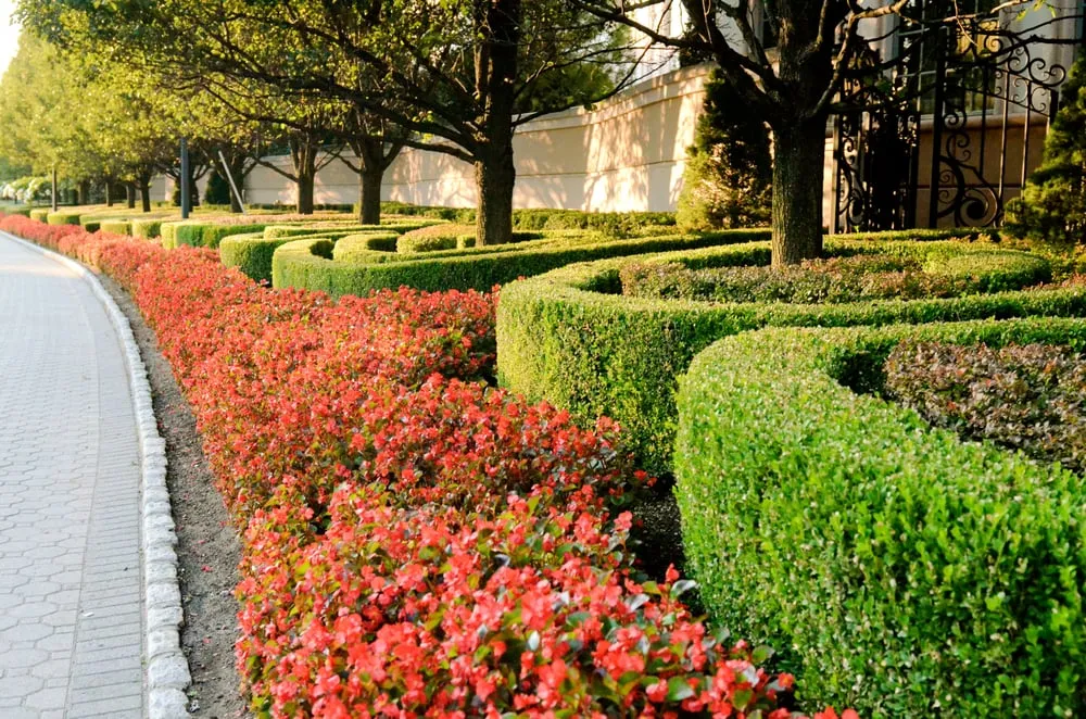 Local landscaping services in Fort Lee, NJ by Yellow Wagon Landscaping