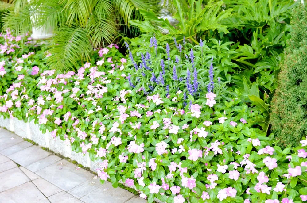 Top-rated landscape design in Fort Lee, NJ - Yellow Wagon Landscaping