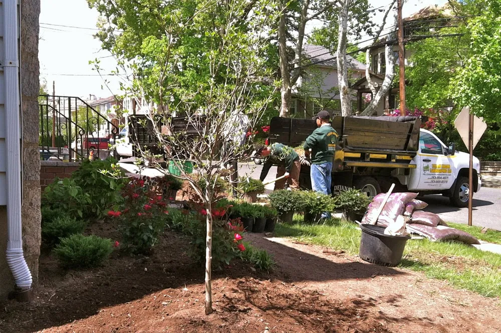 Top-rated landscape design in Fort Lee, NJ - Yellow Wagon Landscaping