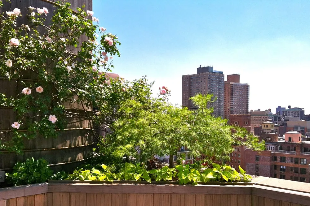 Custom yard cleanup service in Fort Lee, NJ by Yellow Wagon Landscaping