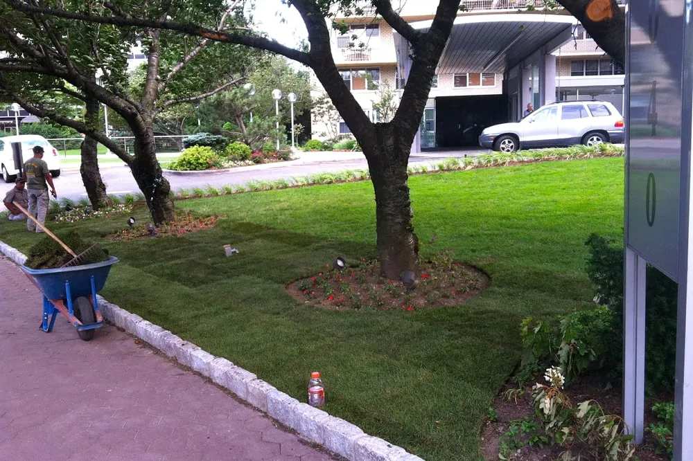 Top-rated lawn care service in Fort Lee, NJ by Yellow Wagon Landscaping