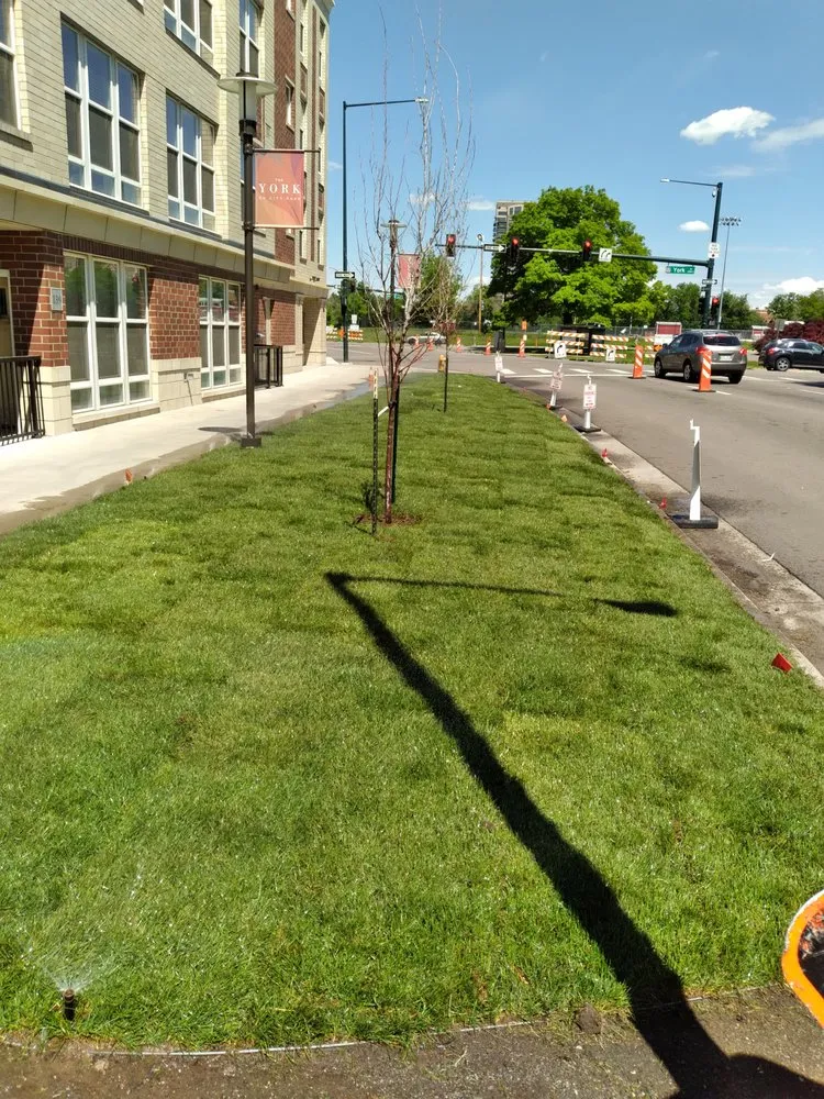 Custom garden landscaping experts serving Denver, CO - Yellowchirp