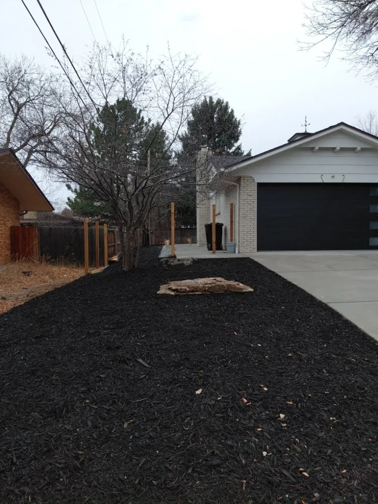 Local landscape design experts serving Denver, CO - Yellowchirp