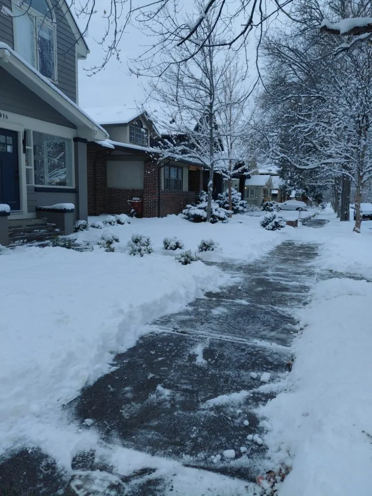 Local landscape installation for beautiful yards in Denver, CO by Yellowchirp
