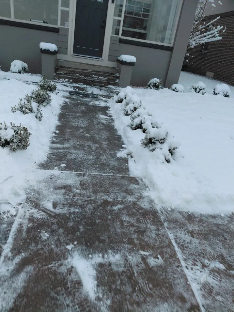 Affordable landscape design for beautiful yards in Denver, CO by Yellowchirp