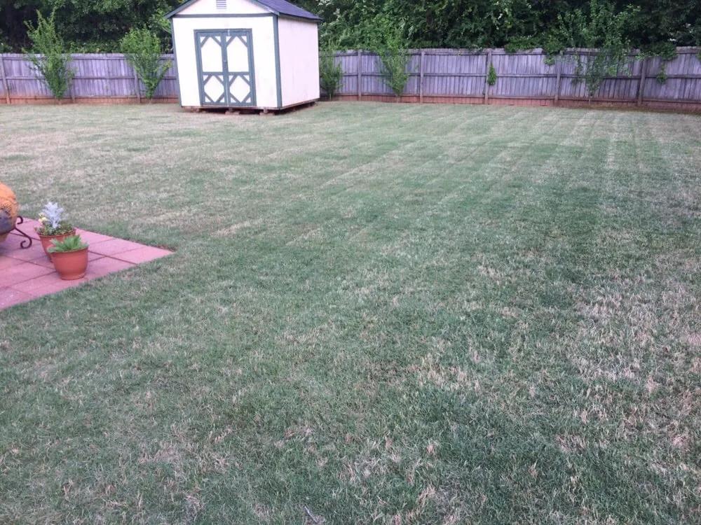 Professional lawn care service for outdoor upgrades in Wetumpka, AL by Yellowhammer Landscaping