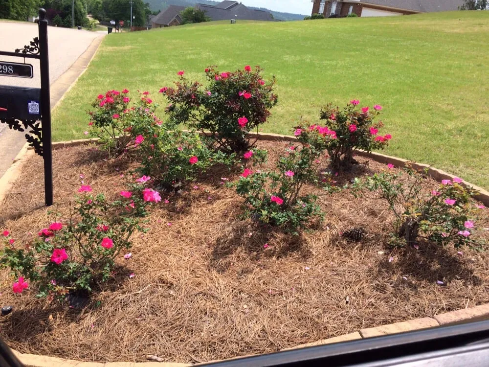 Top-rated landscaping services for beautiful yards in Wetumpka, AL by Yellowhammer Landscaping