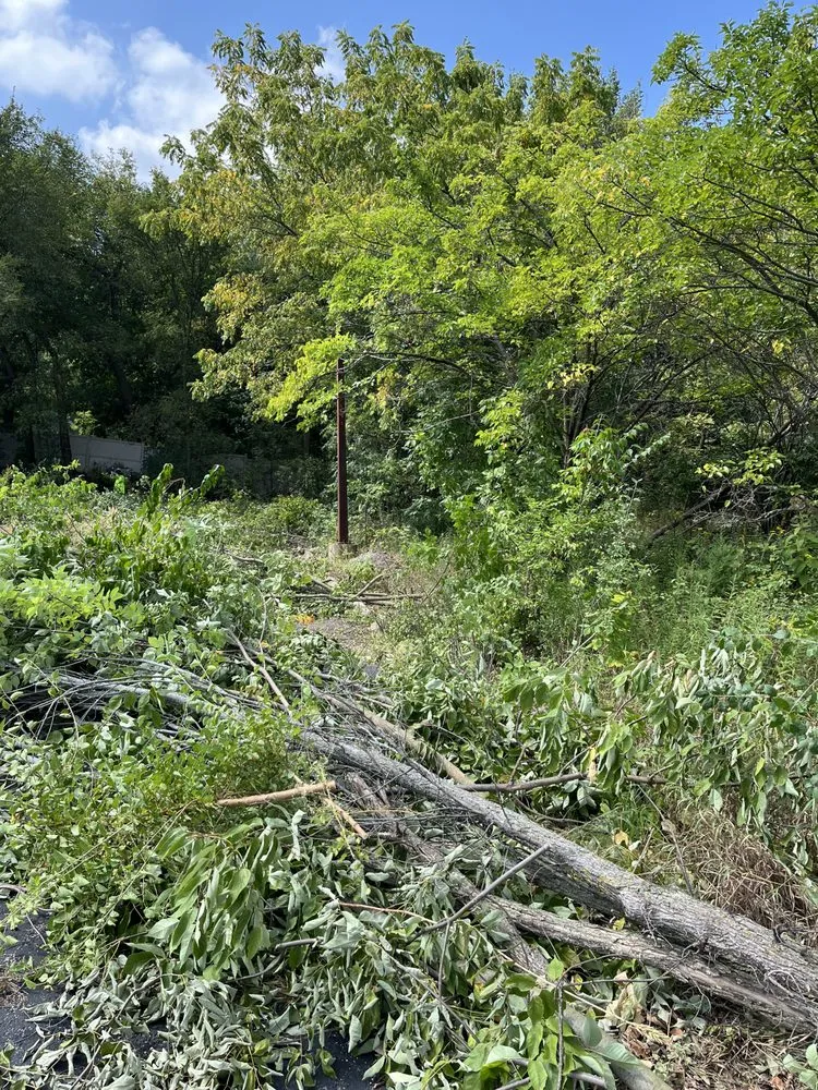 Top-rated landscape design for outdoor upgrades in DeKalb, IL by Yellowpine Landscape Lawn Maintenance