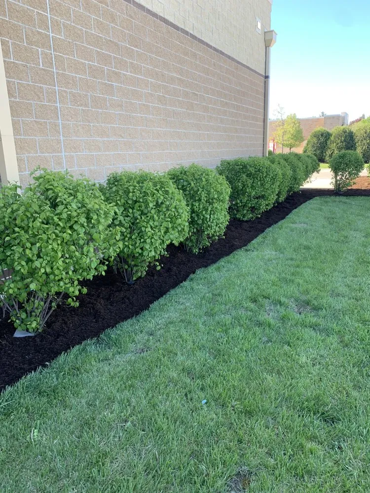 Professional landscaping services in DeKalb, IL - Yellowpine Landscape Lawn Maintenance