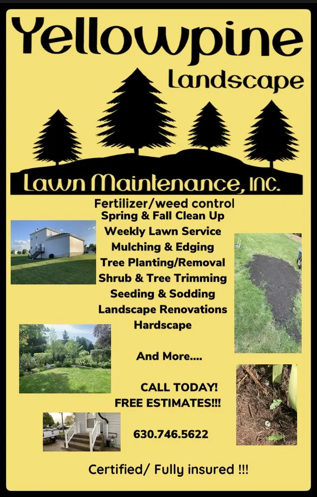 Local lawn care service in DeKalb, IL by Yellowpine Landscape Lawn Maintenance