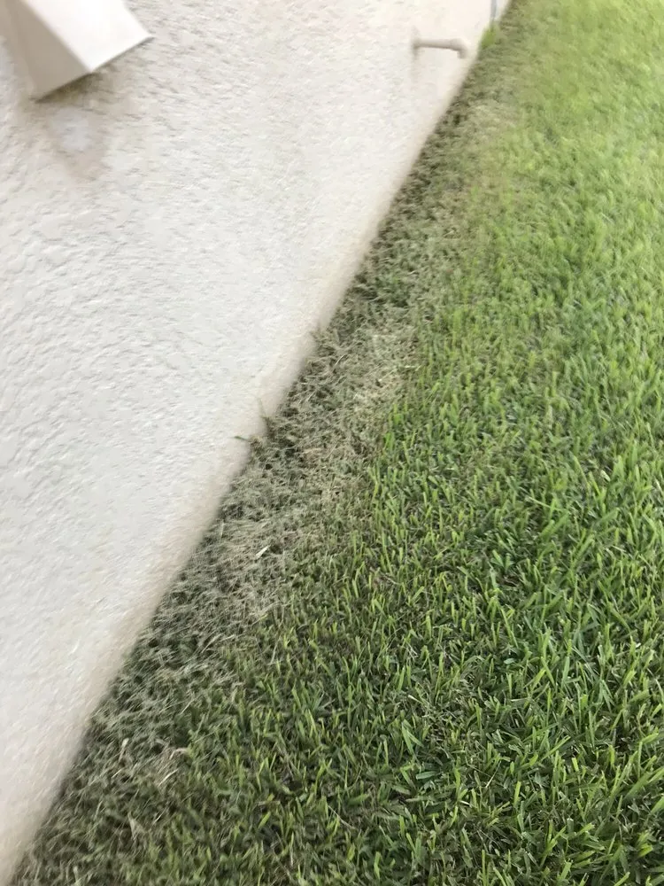 Custom lawn care service experts serving Bradenton, FL - Yellowstone Landscape