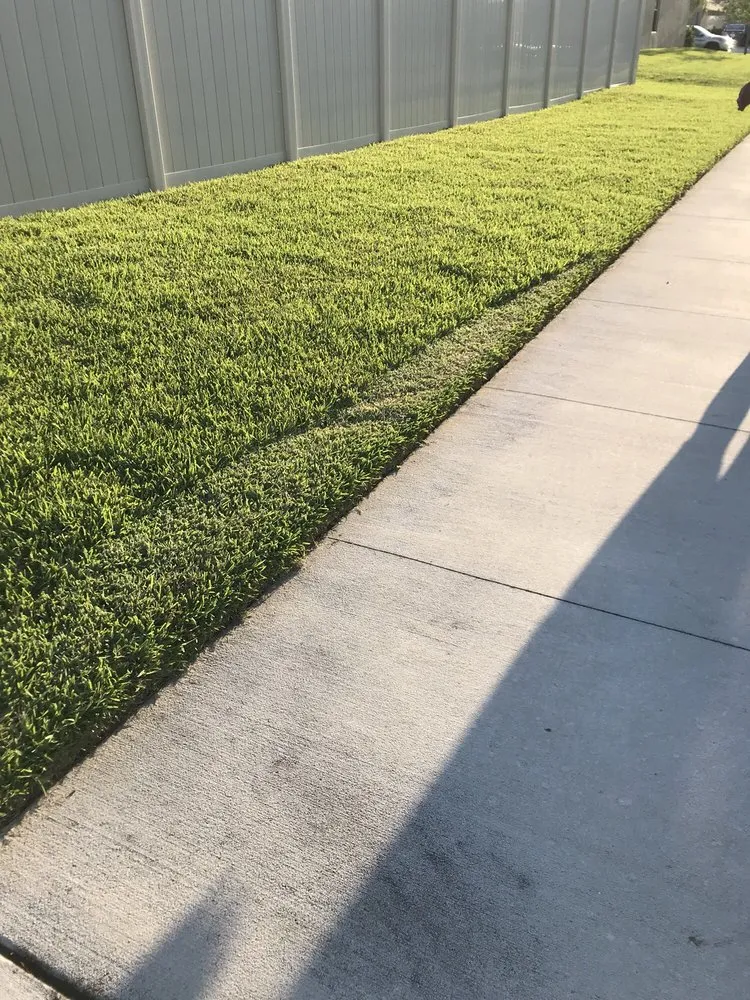 Local lawn care service for outdoor upgrades across Bradenton, FL - Yellowstone Landscape