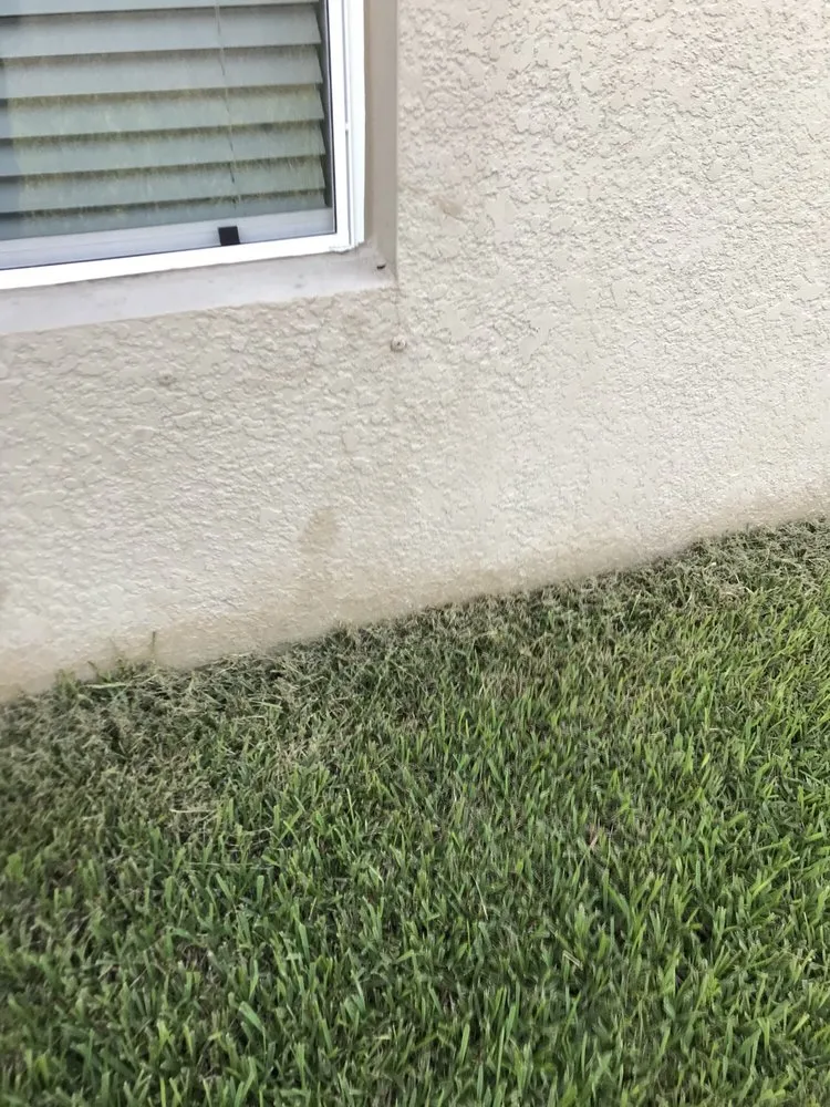 Affordable landscape installation with custom design across Bradenton, FL - Yellowstone Landscape