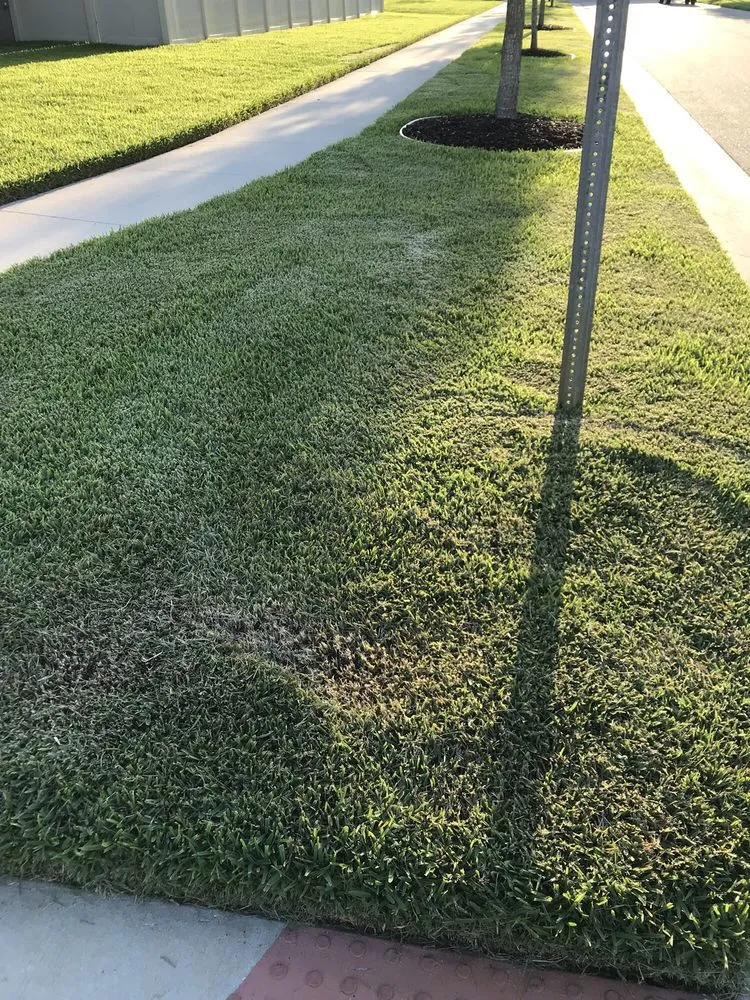 Top-rated residential landscaping for year-round maintenance in Bradenton, FL by Yellowstone Landscape