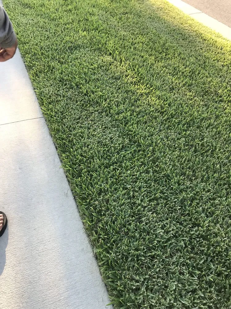 Top-rated landscaping services in Bradenton, FL - Yellowstone Landscape