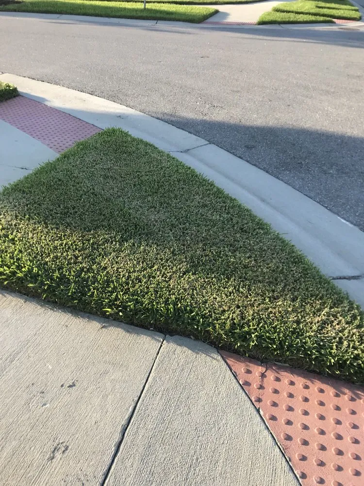 Local landscape design in Bradenton, FL - Yellowstone Landscape