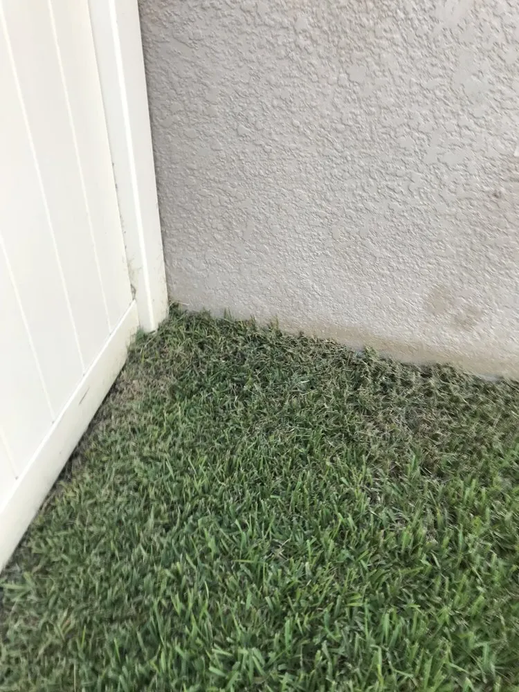 Reliable yard cleanup service in Bradenton, FL - Yellowstone Landscape