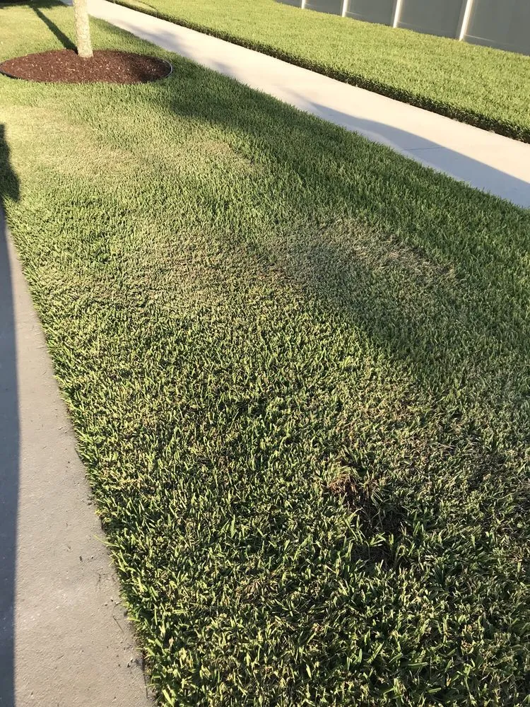 Expert outdoor landscaping with custom design across Bradenton, FL - Yellowstone Landscape