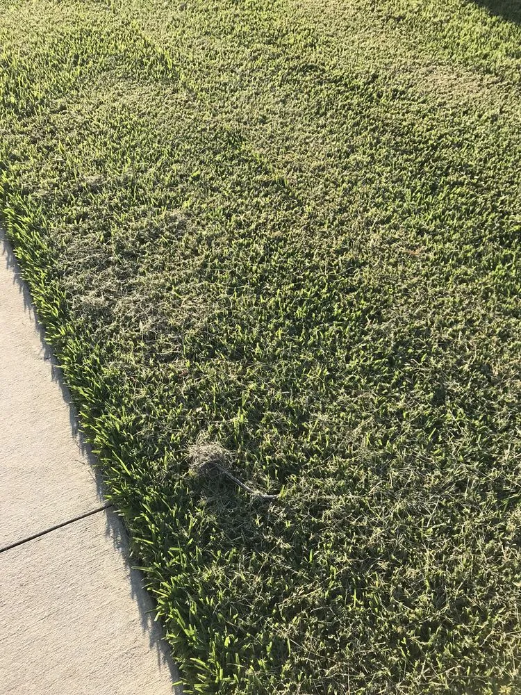 Trusted garden landscaping for beautiful yards in Bradenton, FL by Yellowstone Landscape