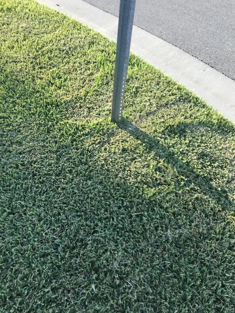 Trusted lawn care service in Bradenton, FL by Yellowstone Landscape