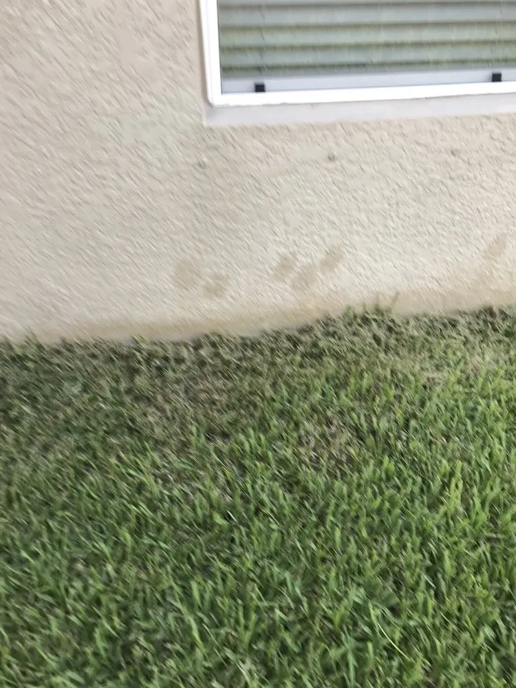 Expert residential landscaping in Bradenton, FL - Yellowstone Landscape