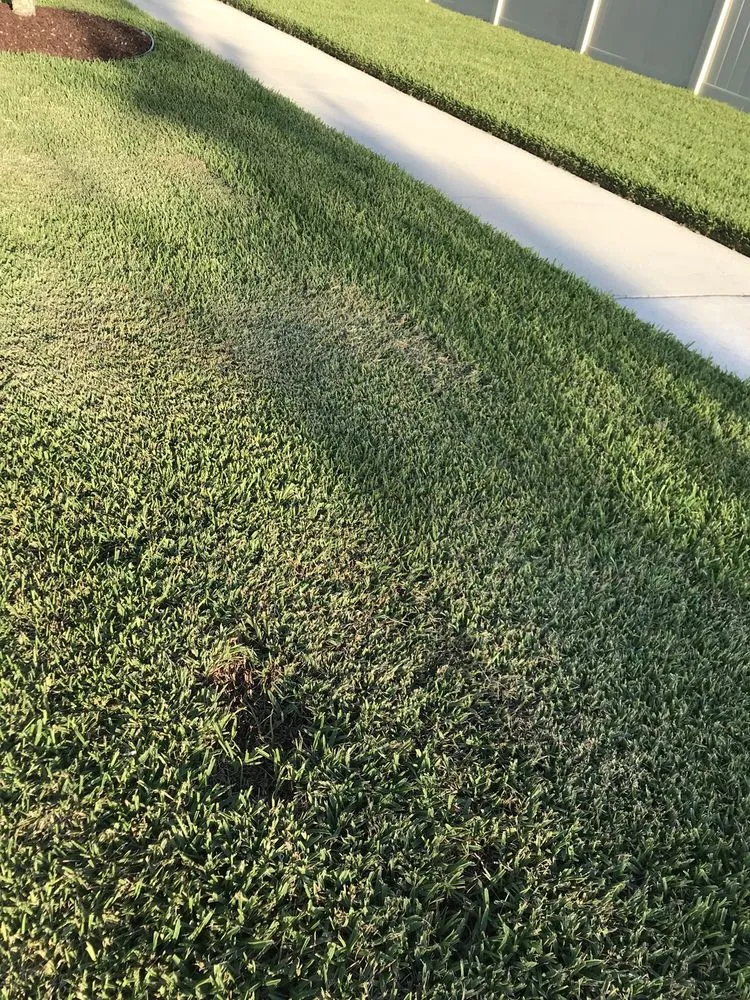 Professional yard maintenance for outdoor upgrades across Bradenton, FL - Yellowstone Landscape