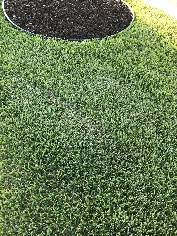 Expert residential landscaping in Bradenton, FL by Yellowstone Landscape