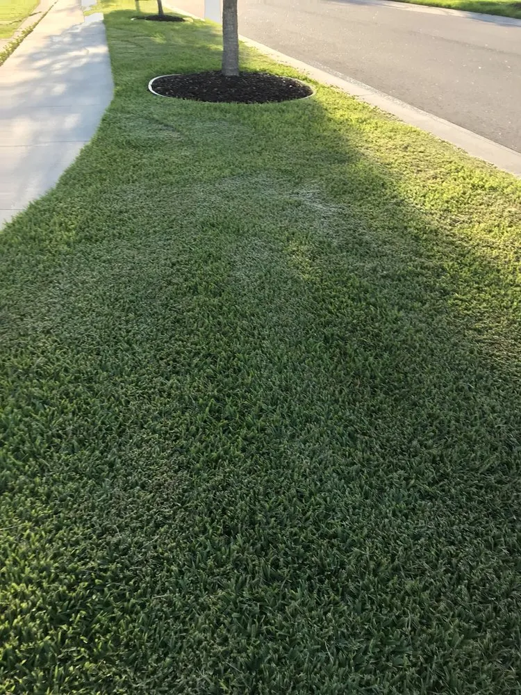 Top-rated landscaping services with custom design in Bradenton, FL by Yellowstone Landscape