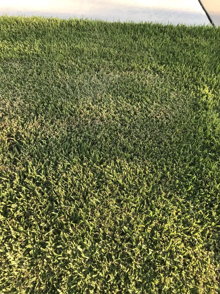 Affordable yard cleanup service for residential properties across Bradenton, FL - Yellowstone Landscape