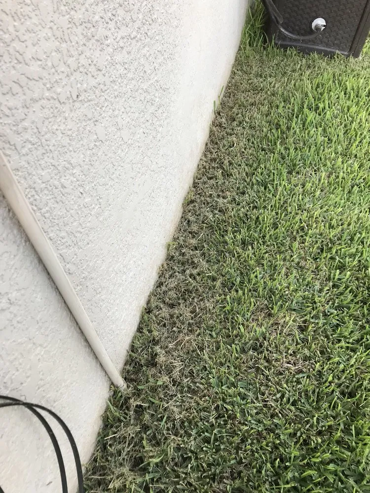 Expert landscaping services experts serving Bradenton, FL - Yellowstone Landscape