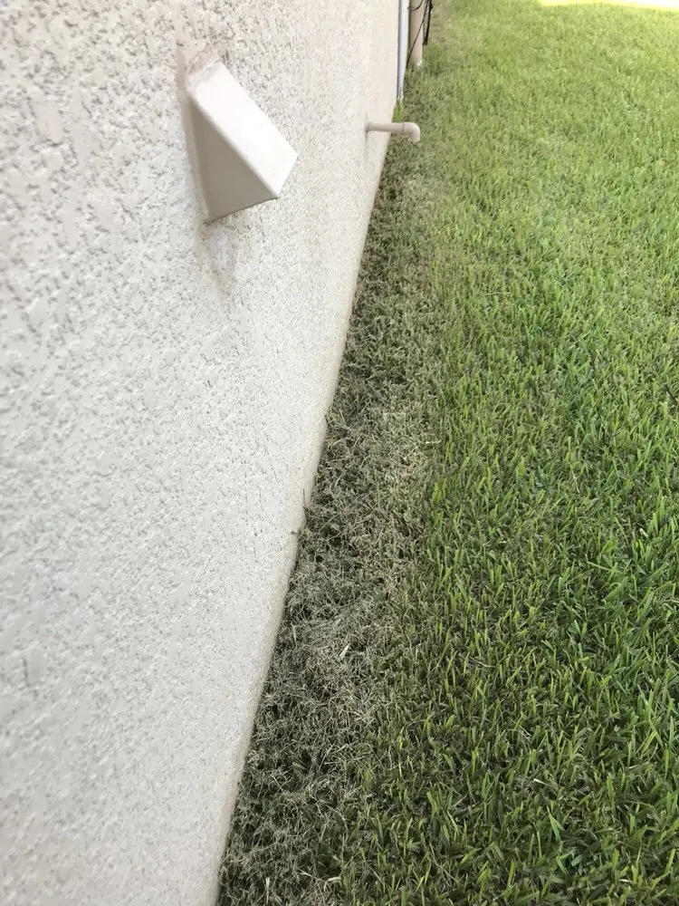 Trusted yard maintenance in Bradenton, FL - Yellowstone Landscape
