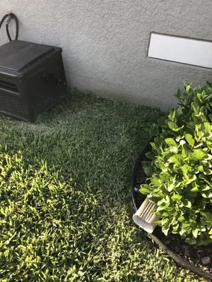 Yellowstone Landscape Logo