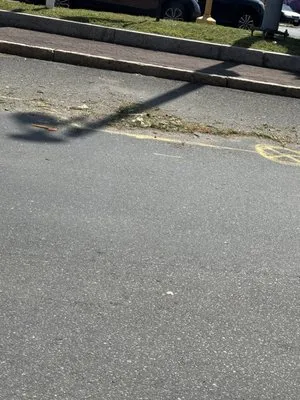 Yellowstone Landscape Logo