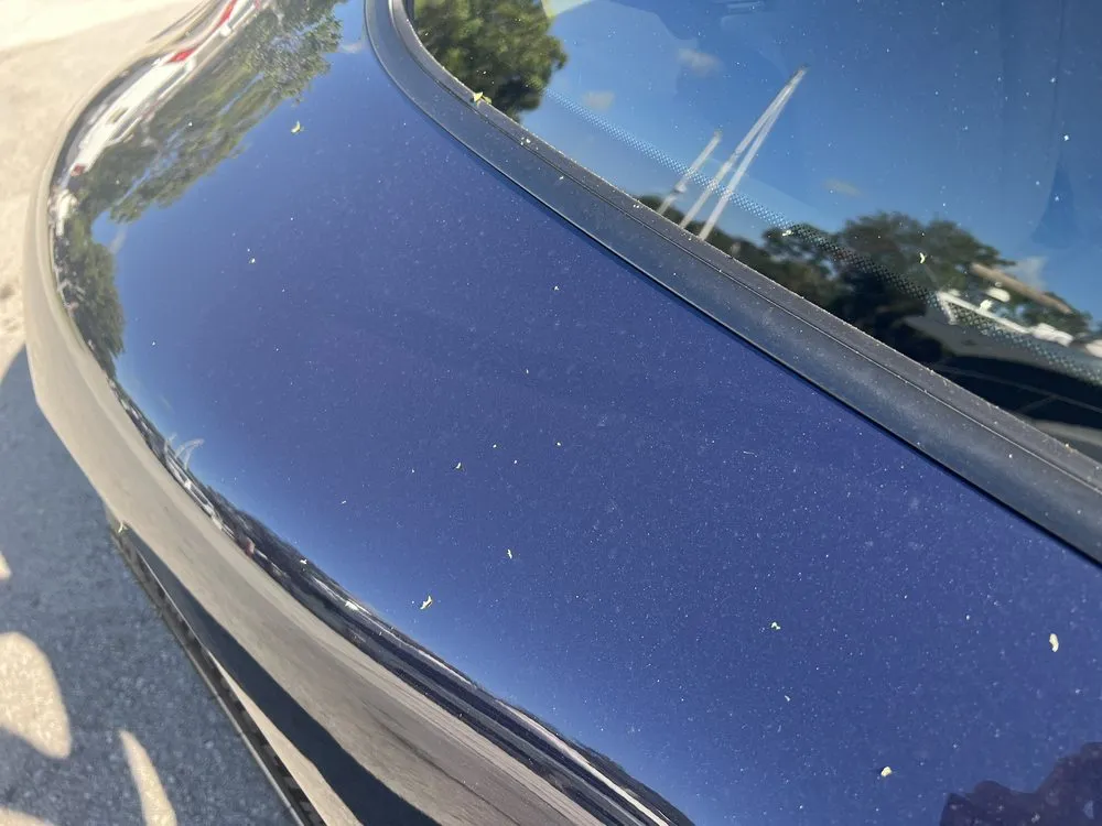 Affordable residential landscaping for homes across Fort Lauderdale, FL - Yellowstone Landscape