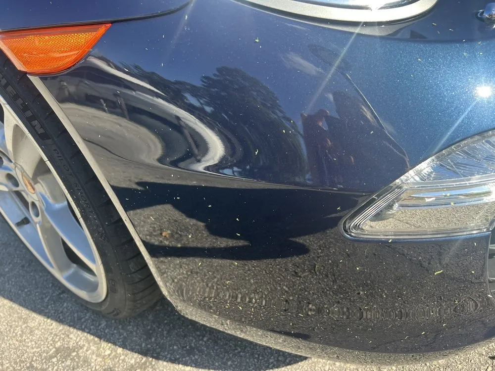 Affordable residential landscaping experts serving Fort Lauderdale, FL - Yellowstone Landscape